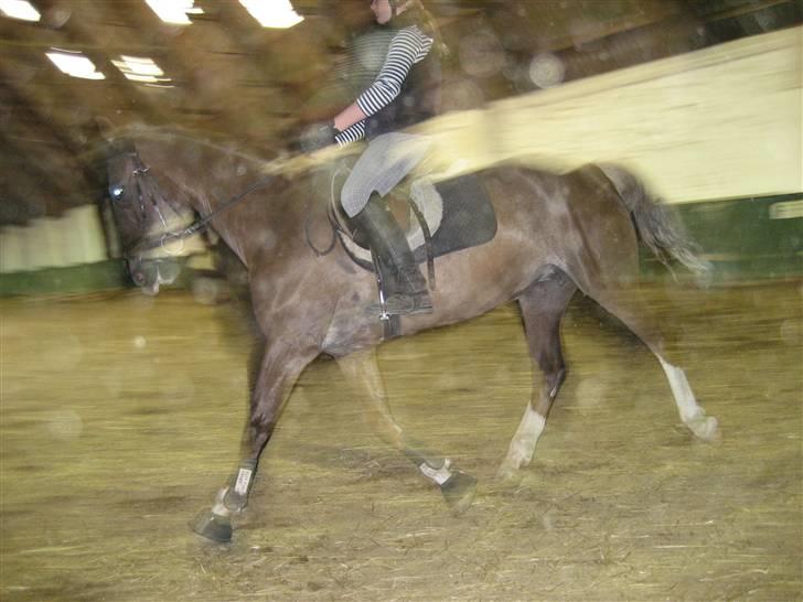 Anden særlig race Madonna<33  - Opvarmning til spring. Undskyld kvaliteten. billede 13