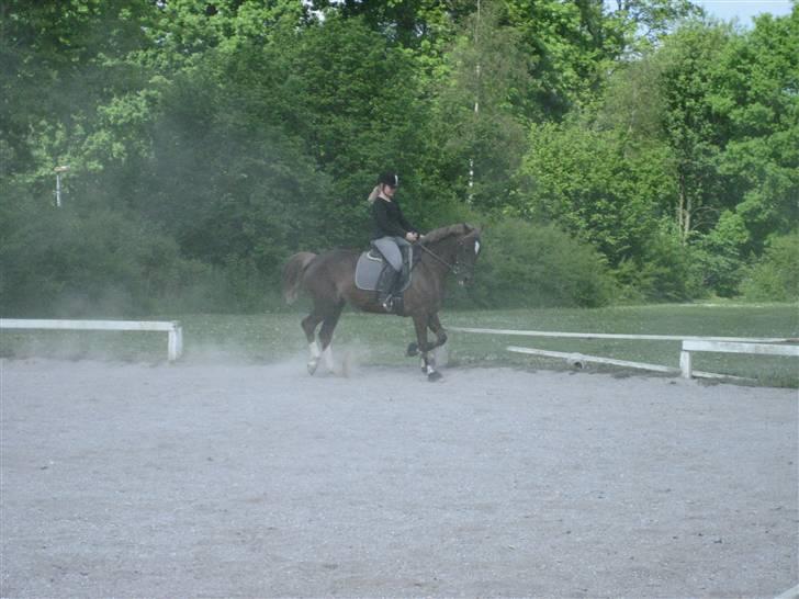 Anden særlig race Madonna<33  - Fine Donna <33 kiig op Sofie!:D billede 14