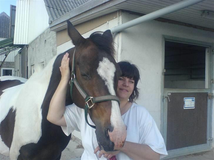 Pinto filur(ejer mejse)Aflivet billede 12