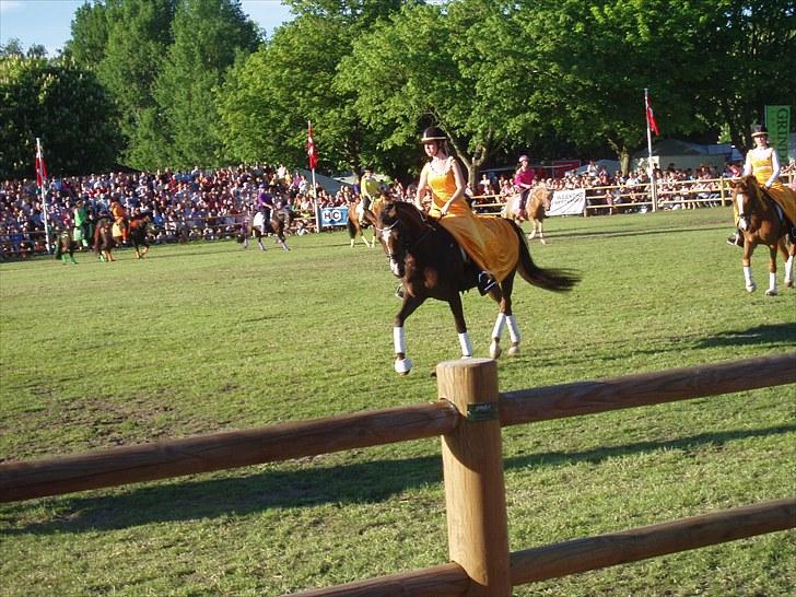 New Forest Callistro Hippios  - Callistro og jeg på Roskilde Dyrskue 2010 billede 11