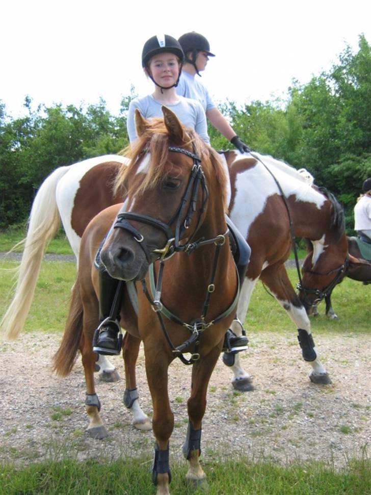 DSP Tourillon A Tout Bredager billede 12