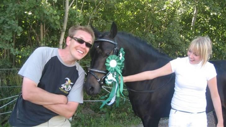 Tysk Sportspony Dr. Doolittle (solgt) billede 6
