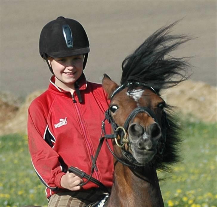 Anden særlig race Roxanne (solgt) billede 11