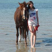 Anden særlig race Pil