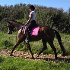 Anden særlig race Trinity