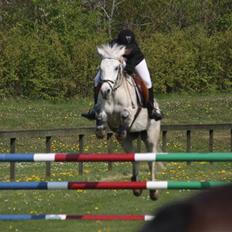 Anden særlig race Sleipner<333 Solgt :'( <3