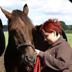Anden særlig race Saigon *Solgt*