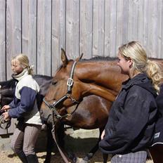 Oldenborg flexie vestergård