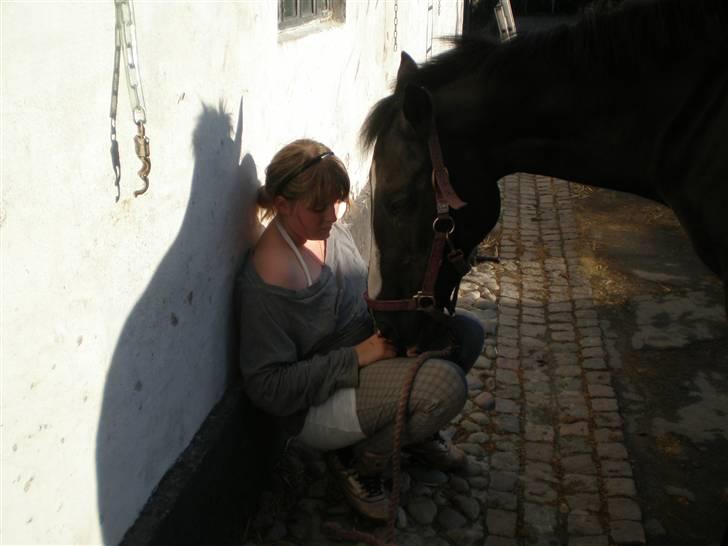 Anden særlig race Malou solgt giga tårer;( - mag og malou mens hun slikker på mine bukser(taget af doddy) billede 15