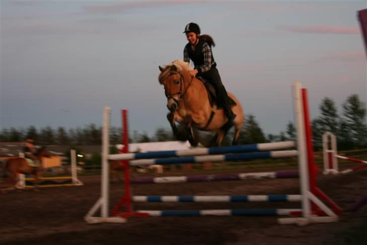 Fjordhest Romoses Jolly Jumper - Vi vandt højdespring. Her ca. 105 cm. Dygtige Jolly billede 15