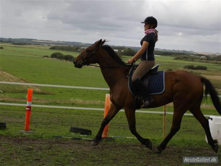 Anden særlig race Nickey *SOLG* - Taget d. 20 august. billede 20