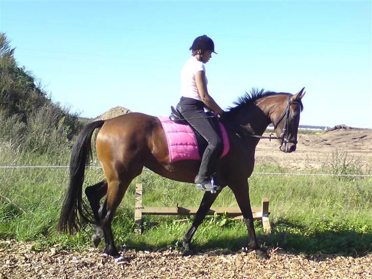 Anden særlig race Trinity billede 5