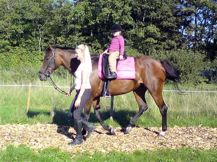 Anden særlig race Trinity - Trinity med min yngste datter på 4 år og jeg må trække.  ;) billede 6