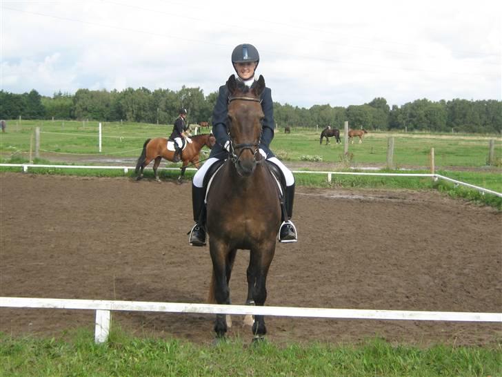 Anden særlig race » Elvis R.I.P - 11 ¬ Opvarmning til LD ØRSR 24 Aug 2008. Kathy Carøe billede 11