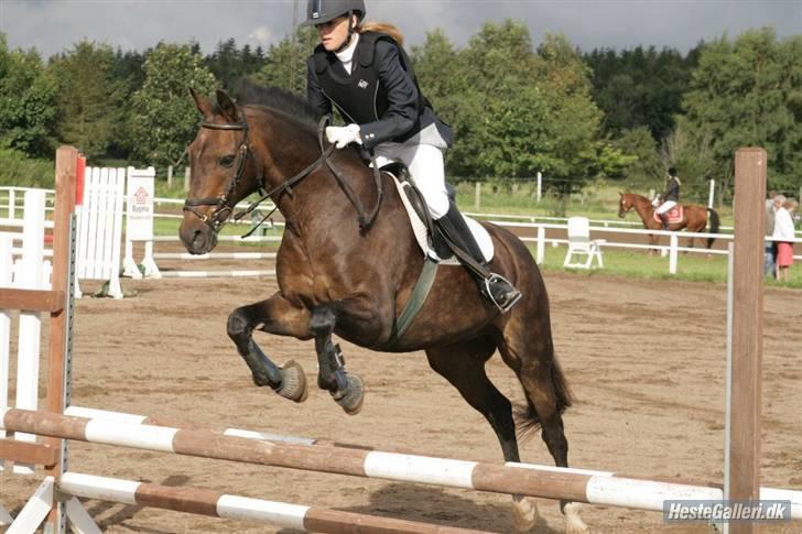 Anden særlig race » Elvis R.I.P - 12 ¬ LD ØRSR 24 Aug 2008. Malene Markmann billede 12