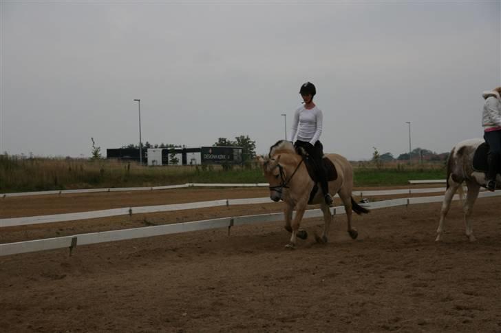 Fjordhest Tulle (Min<3) - Undervisning d. 25-08-09 billede 18