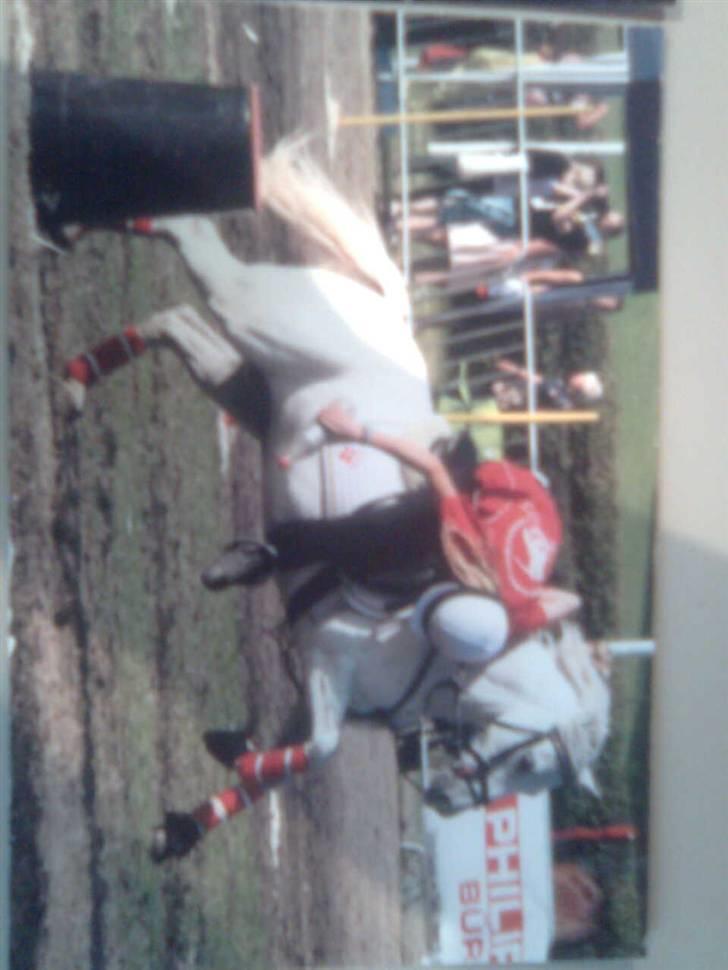 Welsh Mountain (sec A) Idefix - Fra EM i Tyskland 08 - Bottle :) billede 4