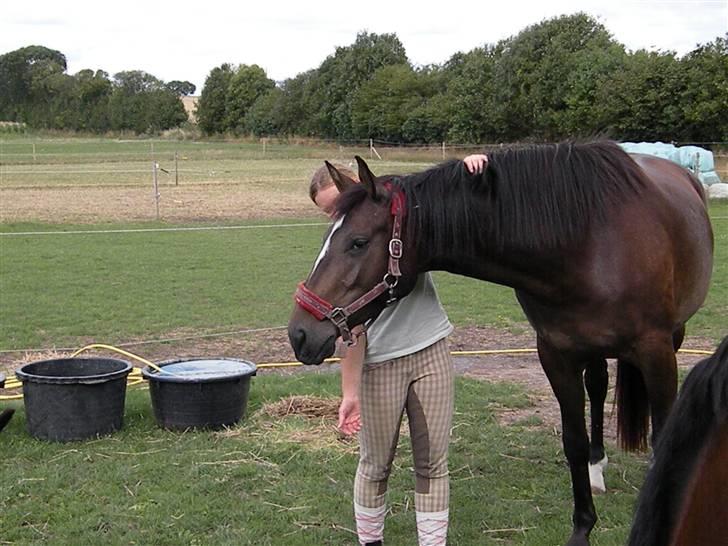 Holstener La Mari-Bell - Det er nu dejligt at blive nusset lidt;) billede 7