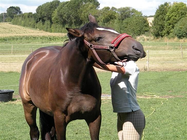 Holstener La Mari-Bell - uha... ja... det er lige dér det klør mor.... billede 12
