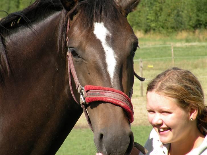 Holstener La Mari-Bell - mig og min smukke hest billede 13