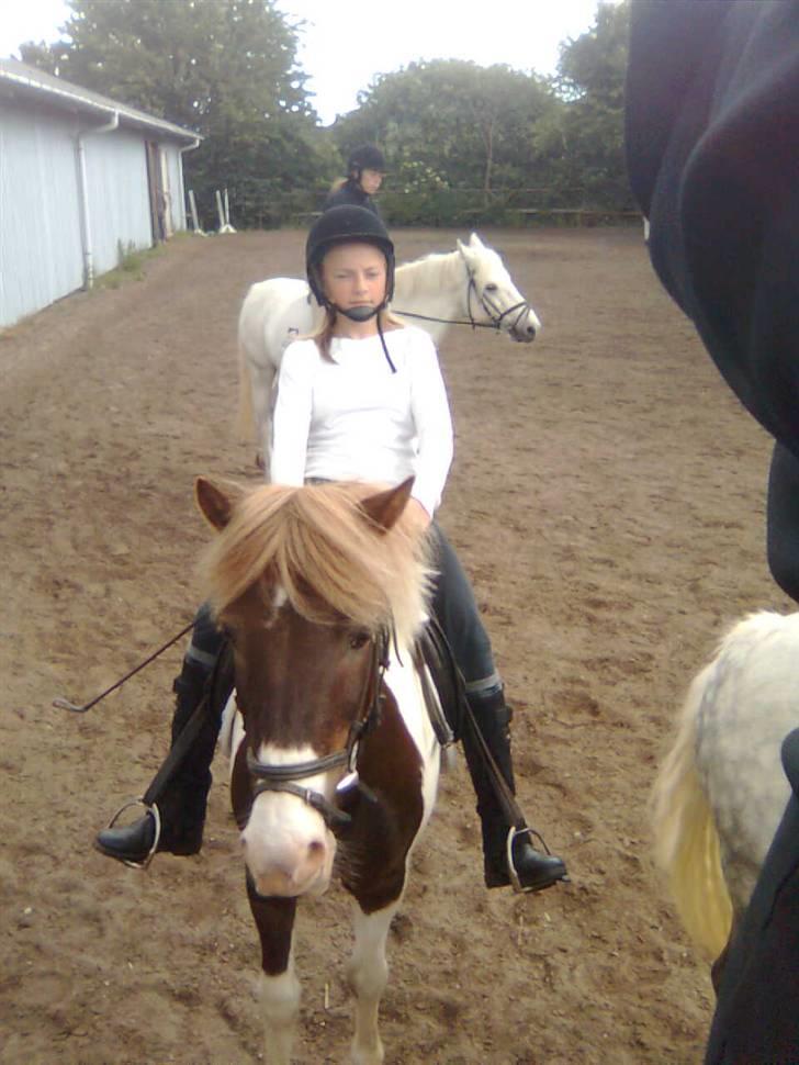 Anden særlig race indianajones!<3 R.I.P :'( - mig og indi til stævne i RVF :-D billede 7