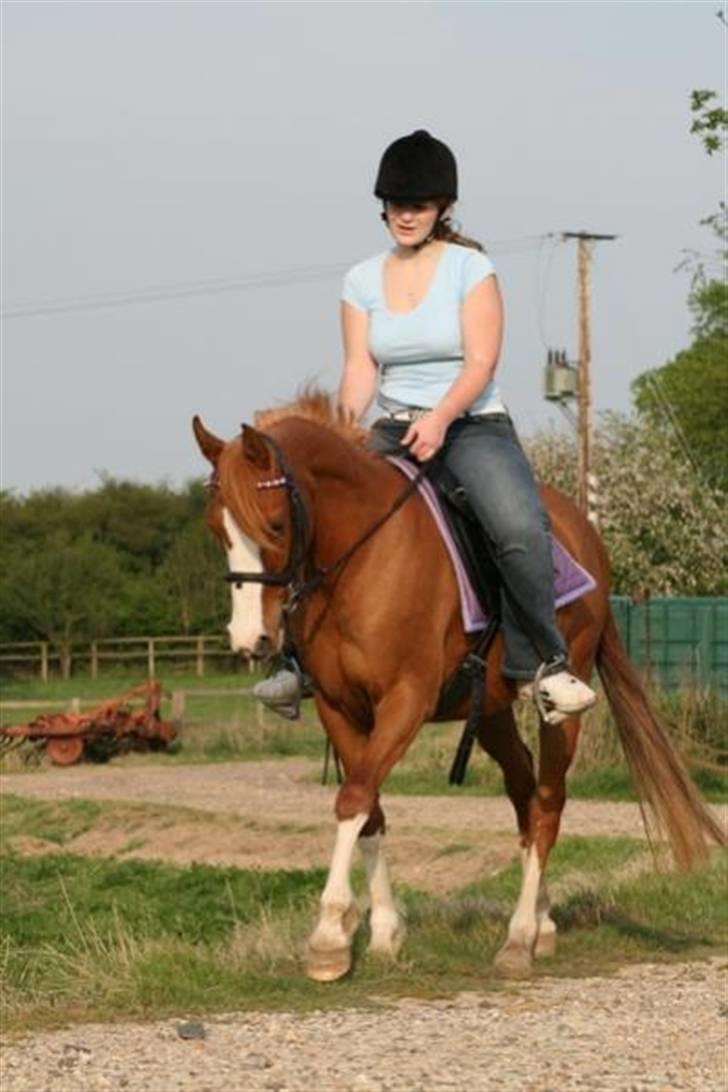 Sportsaraber (A) Yasmin billede 3