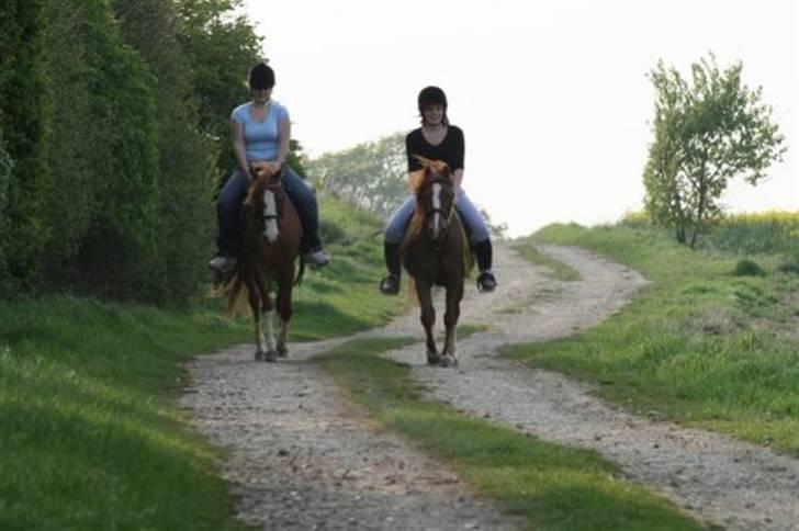 Sportsaraber (A) Yasmin billede 7