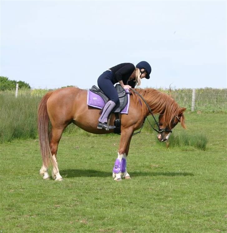 Sportsaraber (A) Yasmin billede 9