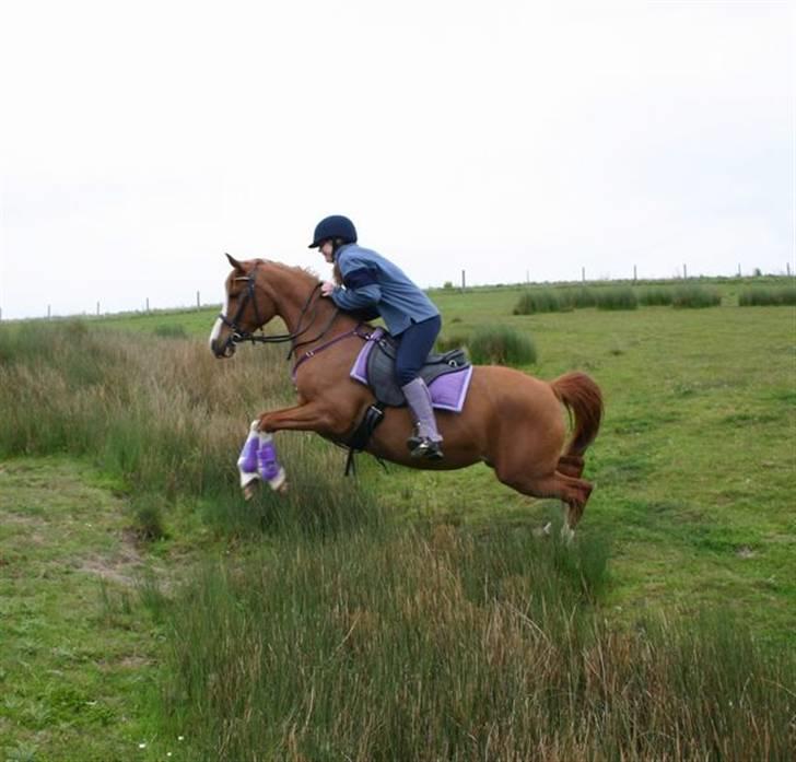 Sportsaraber (A) Yasmin billede 13