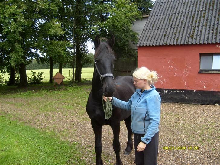 Frieser Lyngholms Knock Out - Jeg gider altså ikke bare stå her for at stå Mor;-) billede 1