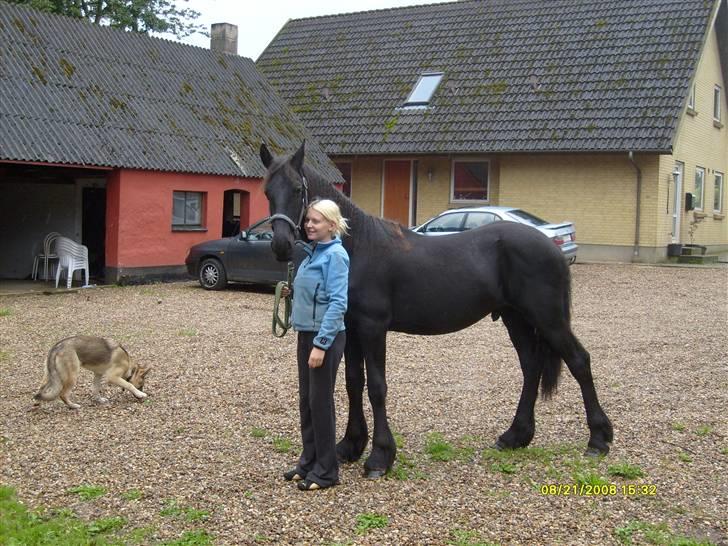 Frieser Lyngholms Knock Out billede 2