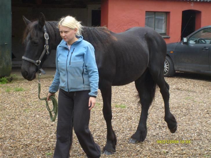 Frieser Lyngholms Knock Out - Nu skal vi gå tur, det vil jeg gerne, det er så hyggeligt:-) billede 3
