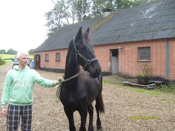Frieser Lyngholms Knock Out - Jeg har fået øje på æblerne oppe i træet! Skal vi ikke gå derhen Far??? billede 4