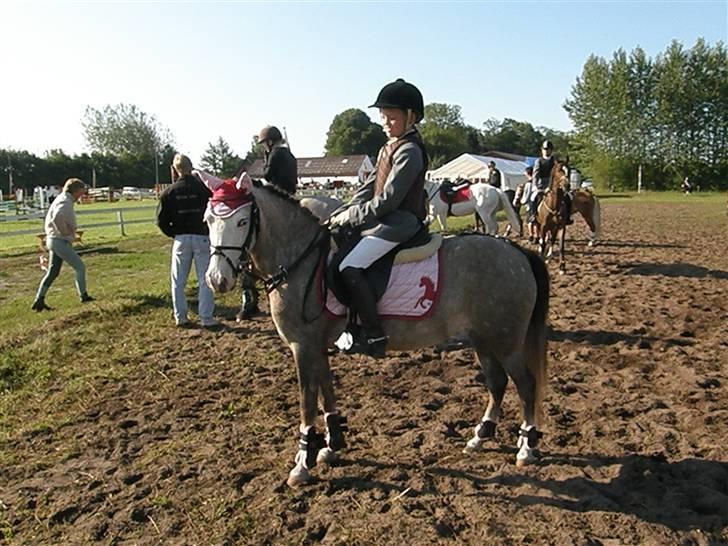 Anden særlig race Faithful´s Shakira B-pony - Neej, hvor er du fin med lyserød :D billede 9