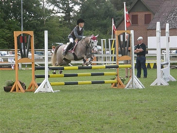 Anden særlig race Faithful´s Shakira B-pony - Kizzen,  neej hvor du er dygtig :D (L) billede 11