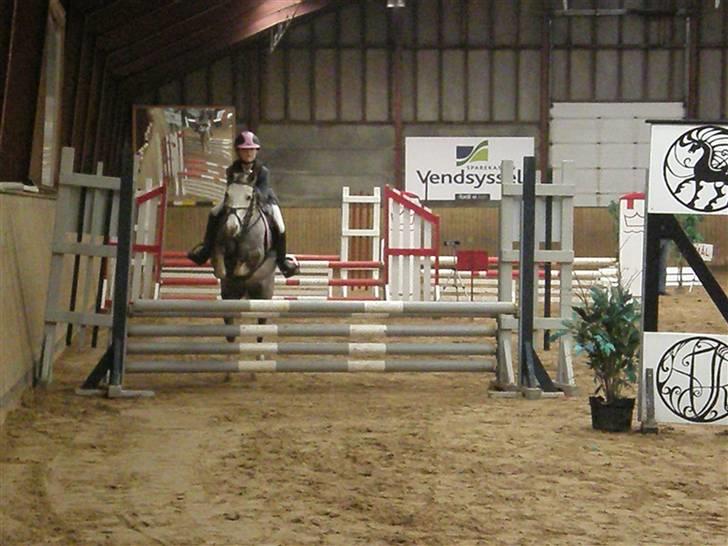 Anden særlig race Faithful´s Shakira B-pony - La i hjørring <33 :-* billede 14