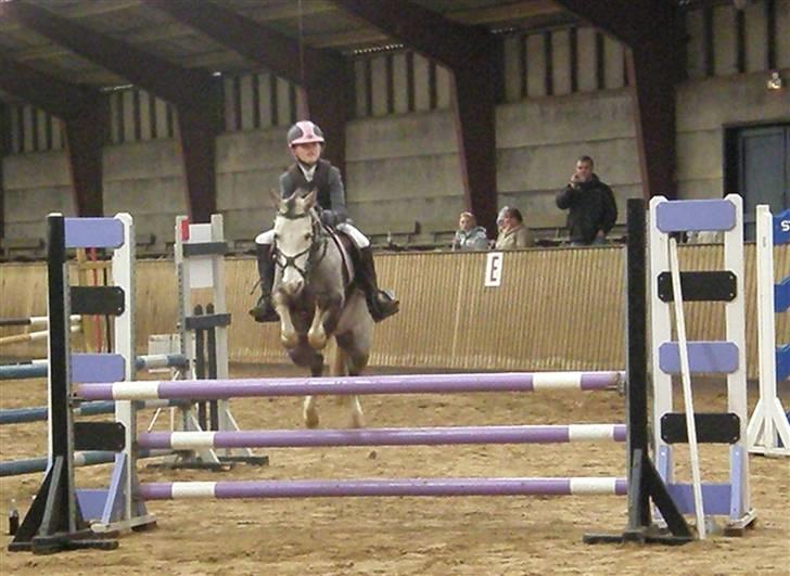 Anden særlig race Faithful´s Shakira B-pony - Mb i hjørring :D<3 hun gik nul (LLLLL´ :-* billede 15