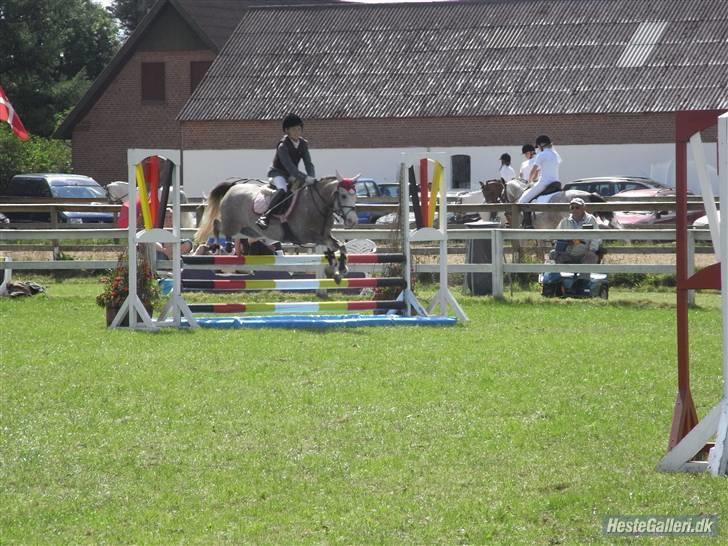 Anden særlig race Faithful´s Shakira B-pony - Plastic vandgrav ;) jaaaa  <333333 billede 17