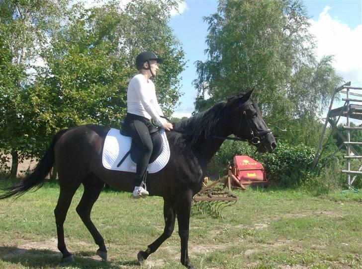 Traver In Ger Solgt - Storebrors kæreste rider billede 8