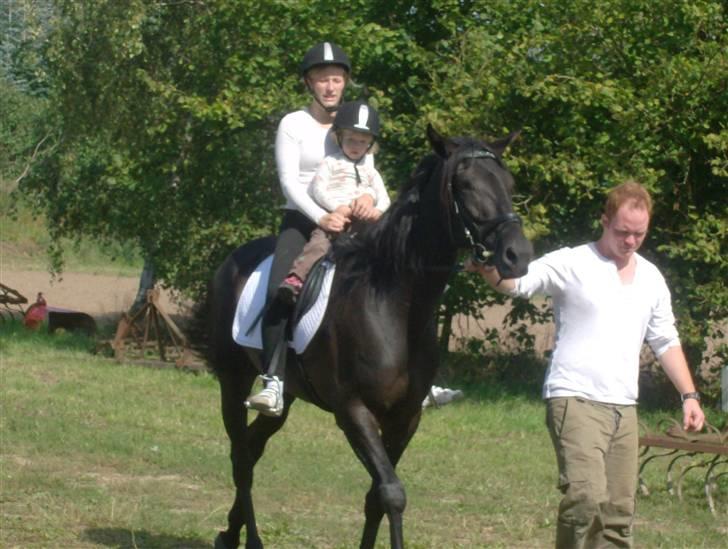 Traver In Ger Solgt - Storebror trækker, fie og nikoline sidder på hende:) billede 10