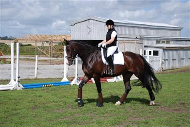 Dansk Varmblod RDH Dakina Hardsyssel - Stævne morsø ridecenter. Vandt LC1 hold de andre på holdet var malene madsen og Cicilie: Godt gået. billede 11