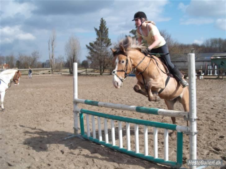 Anden særlig race Kashmir  - Spring Træning Med Sebrina 80/90cm. Elsker Dig Bamse billede 5