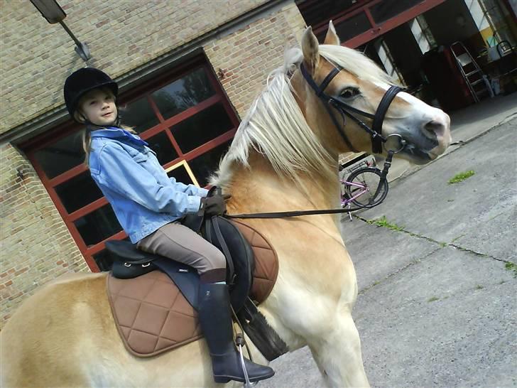 Haflinger Felix - Katya på Felix (:  billede 17