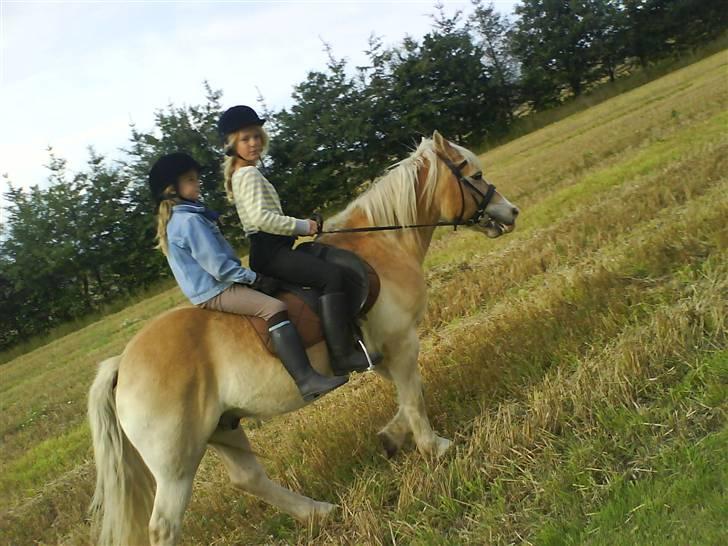 Haflinger Felix - Katya & Frederikke på felix(:  billede 18