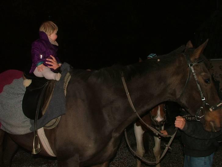 Fuldblod (XX) Regal Prime *solgt* - 13, regal elsker bare børn.. billede 13