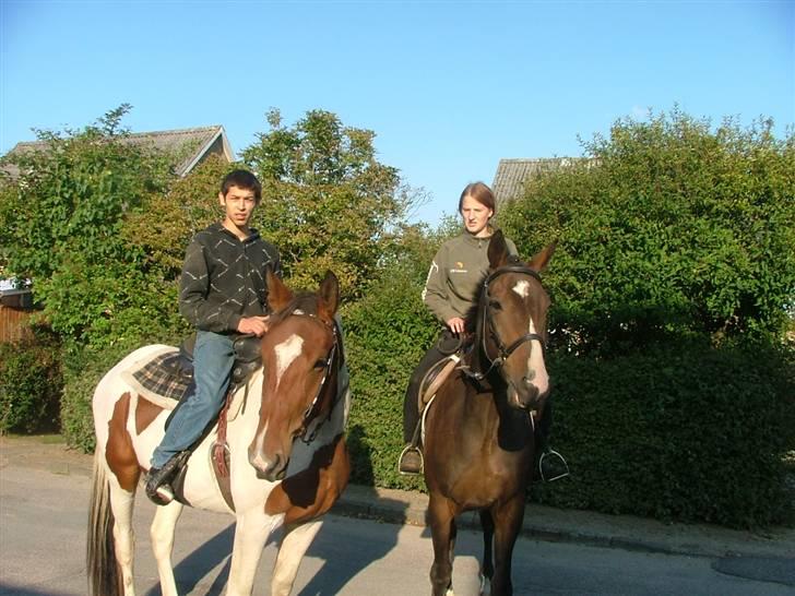 Fuldblod (XX) Regal Prime *solgt* - 19, sorenta, regal, mig og peder i tommerup st.. dejlig tur.. nyt. billede 19