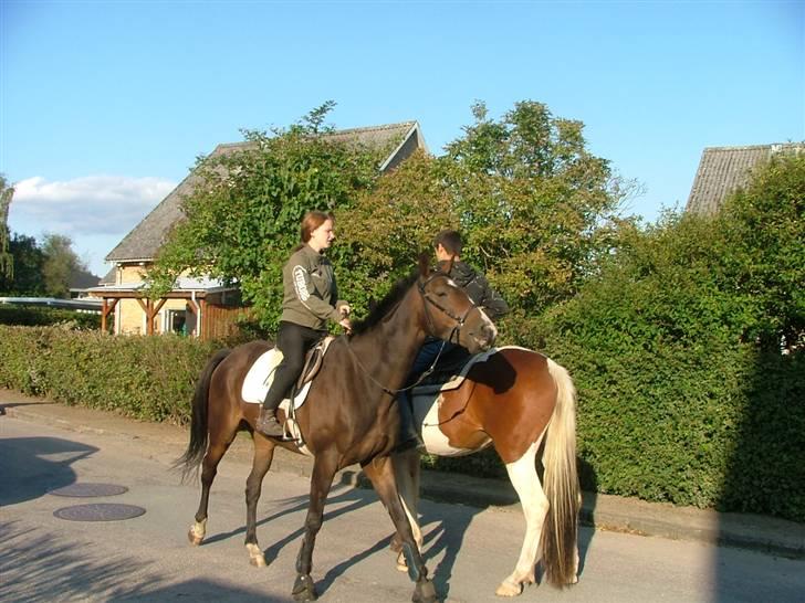 Fuldblod (XX) Regal Prime *solgt* - 20, mig og regal i tommerup st.. 5 km fra hvor han staar opstaldet..  billede 20