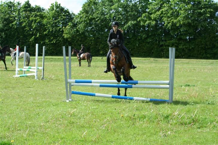 Anden særlig race Prince Charming  (solgt )  - jeg springer ham...   billed taget af min far(: billede 9