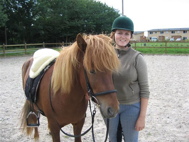 Islænder Óvera frá Saudanesi solgt billede 6