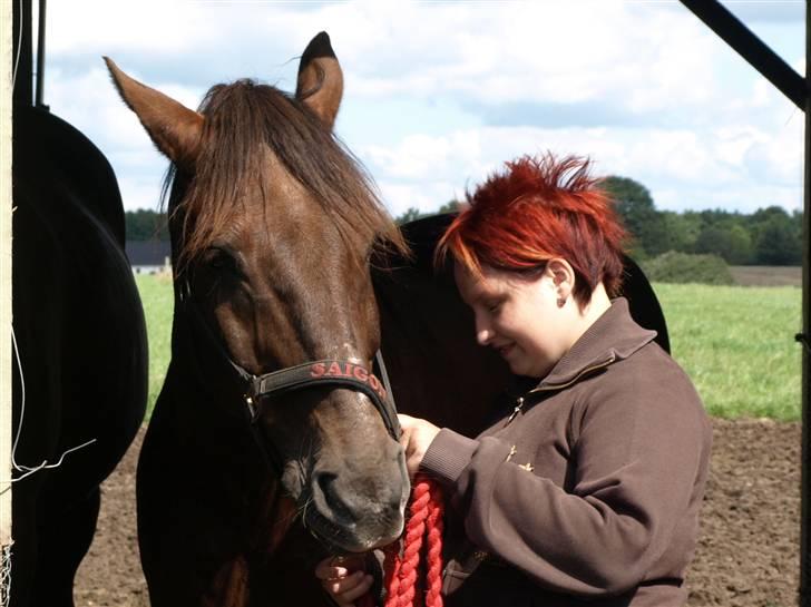 Anden særlig race Saigon *Solgt* - Saigon og Mig billede 1